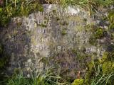 image of grave number 798361
